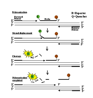 mg不朽情缘(中国)官方网站